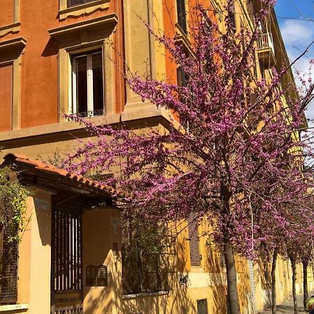 B&B Musei Vaticani Roma Dış mekan fotoğraf
