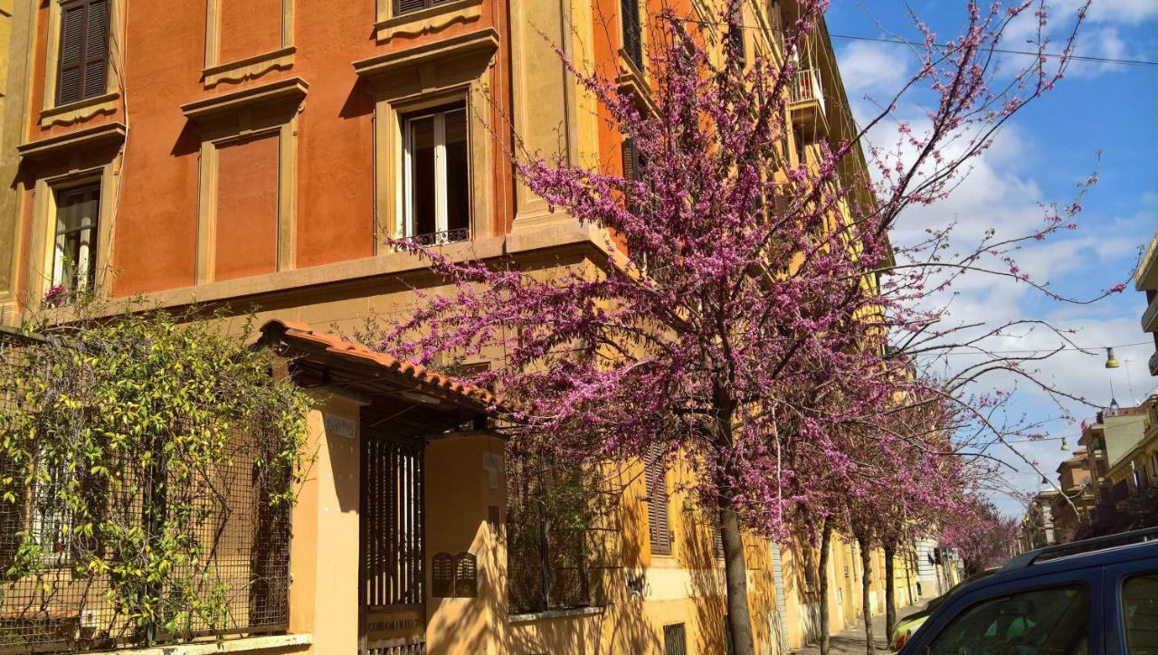 B&B Musei Vaticani Roma Dış mekan fotoğraf